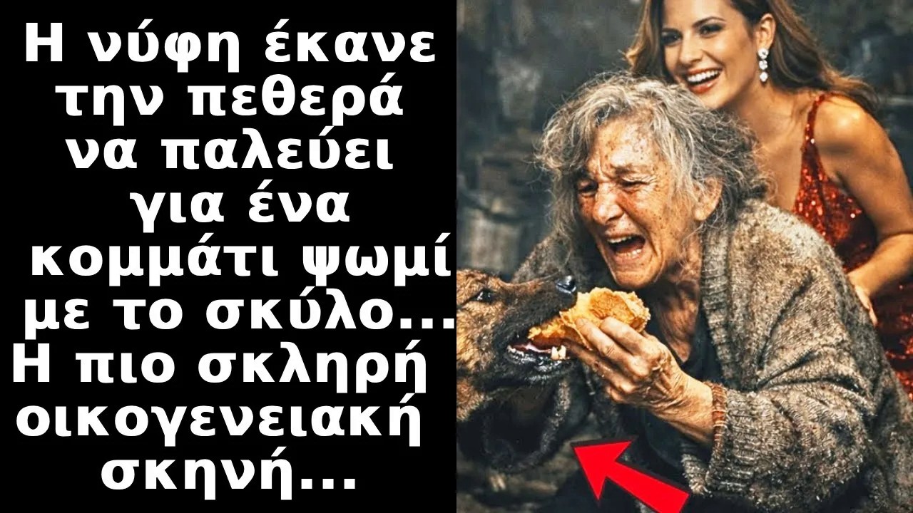 Για να δούμε ποιος θα κερδίσει και θα φάειείπε η νύφη στην πεθερά που πάλευε με σκυλί για το ψωμί