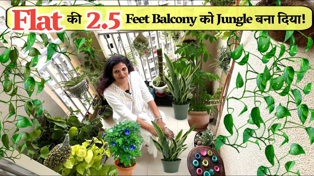 सिर्फ 2.5 से 3 फीट Balcony में Mini Garden का कमाल Flat की छोटी Balcony को Jungle बना दिया
