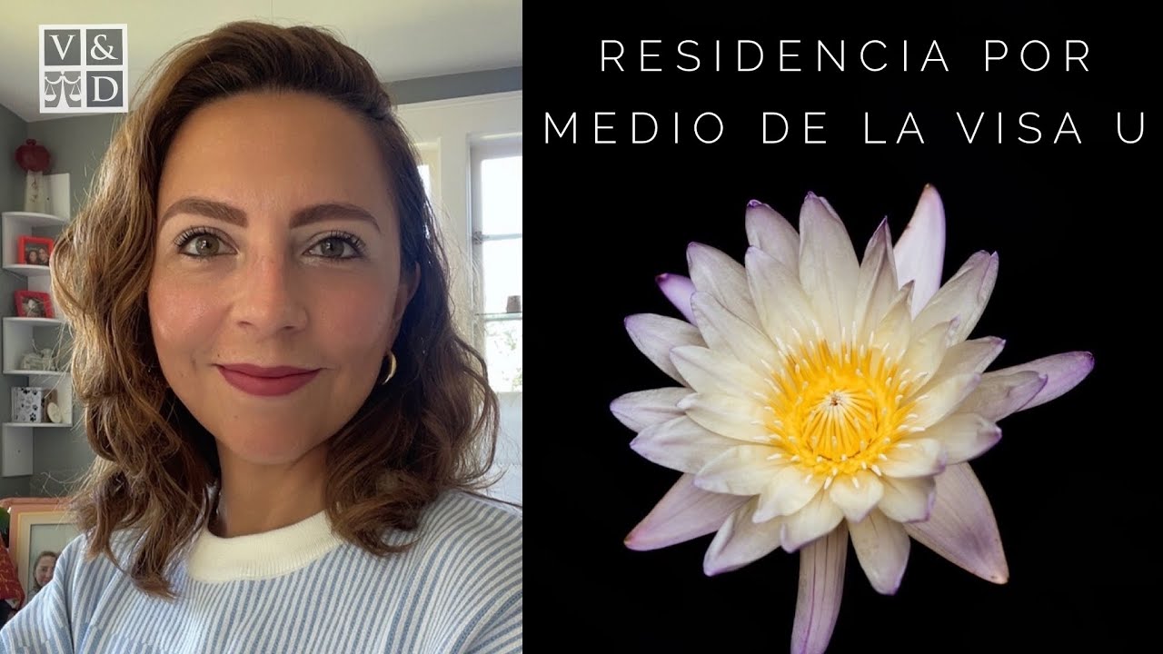 RESIDENCIA POR VISA U. ¿MI HIJO o ESPOSO CIUDADANO ME PUEDE PEDIR? #visau #vawa #daca