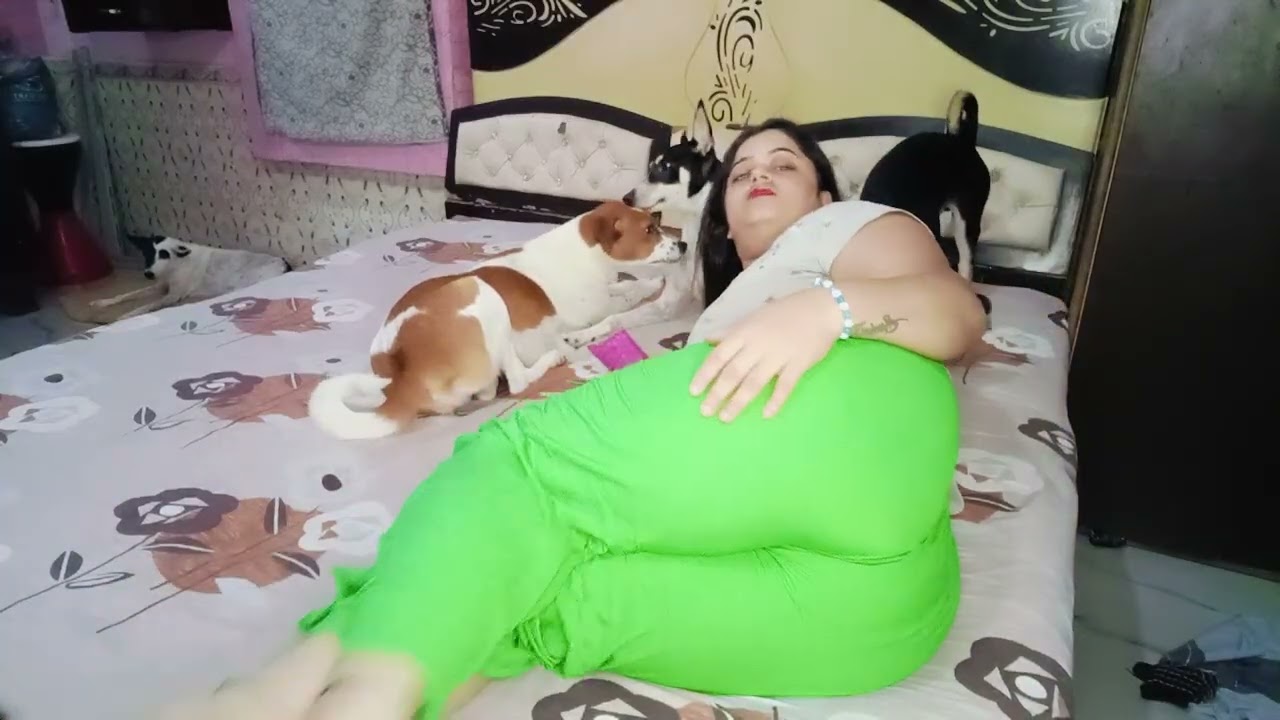 Masti kar rehe hai 🐕🐕 bruno aur uske sare dost 🍜🏡 #housewifevlog