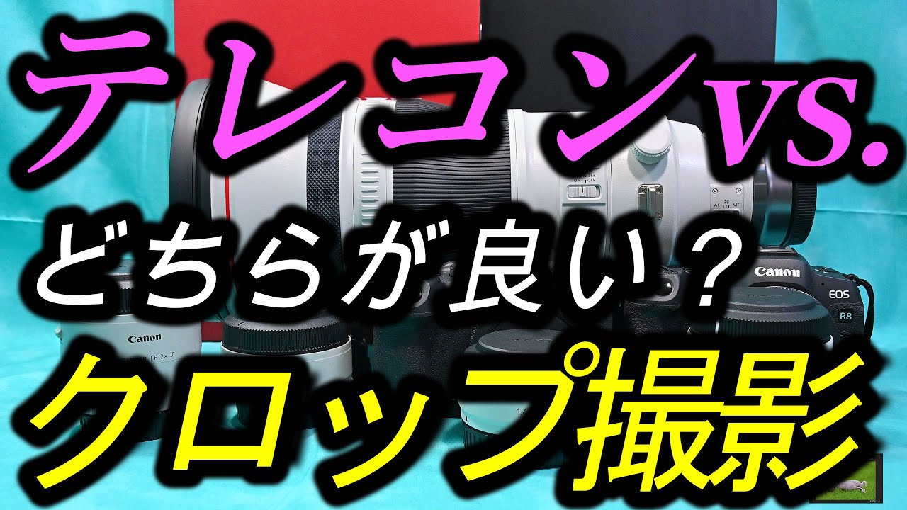 テレコン vs. クロップ撮影どちらが高画質？
