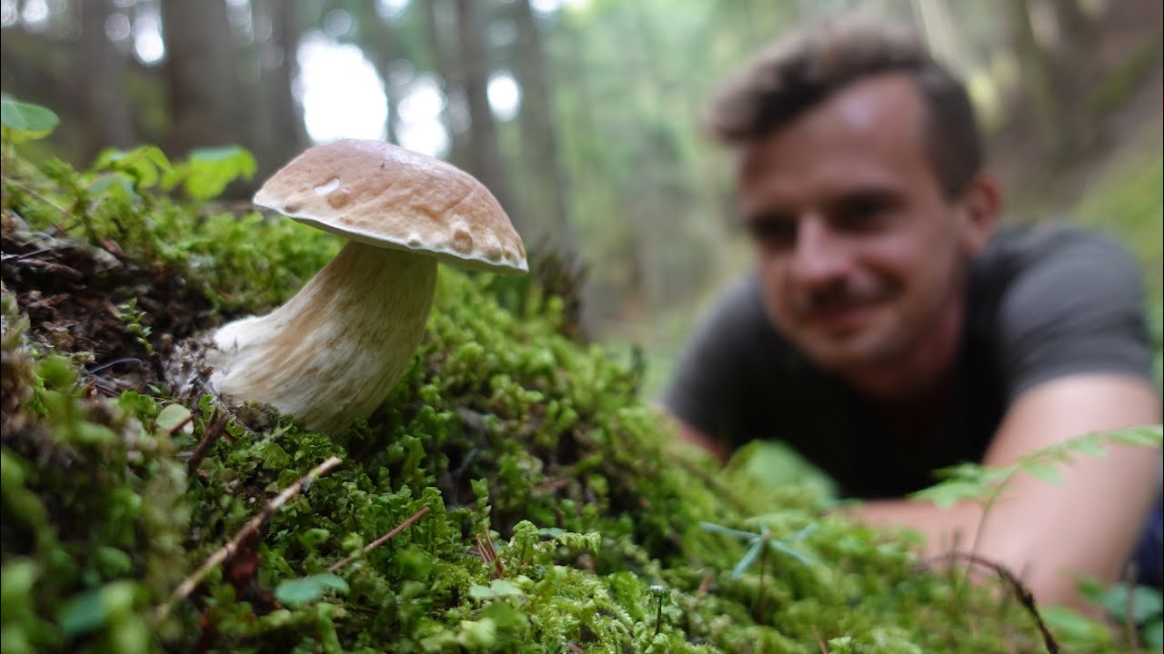 Młode PRAWDZIWKI znad strumienia