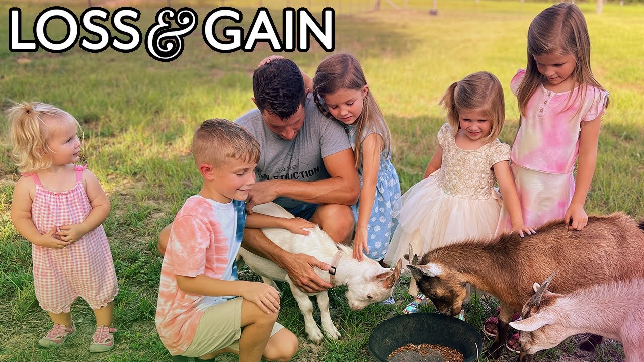 DIY: Building a Goat Pen | Protecting our Goats after a Coyote Attack!
