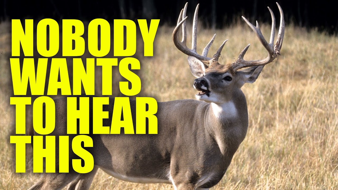 The Truth about EHD & CWD according to The National Deer Alliance: Which is Worse?
