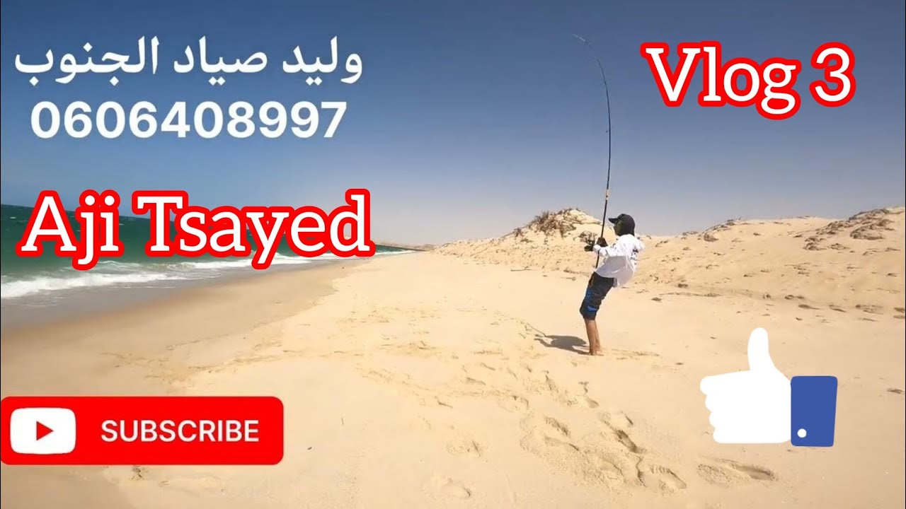 Pêche de la liche à #dakhla  El Argoub #اجي_تصيد #aji_tsayed Vlog 3️⃣.  صيد سمك أولاح الجزء الثالث