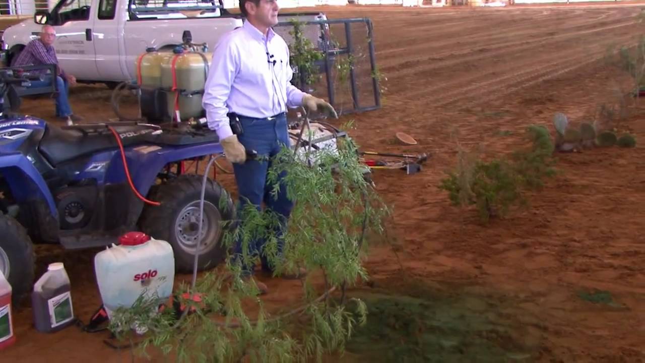 Brush Busters 2009 - Mesquite - Spray Technique