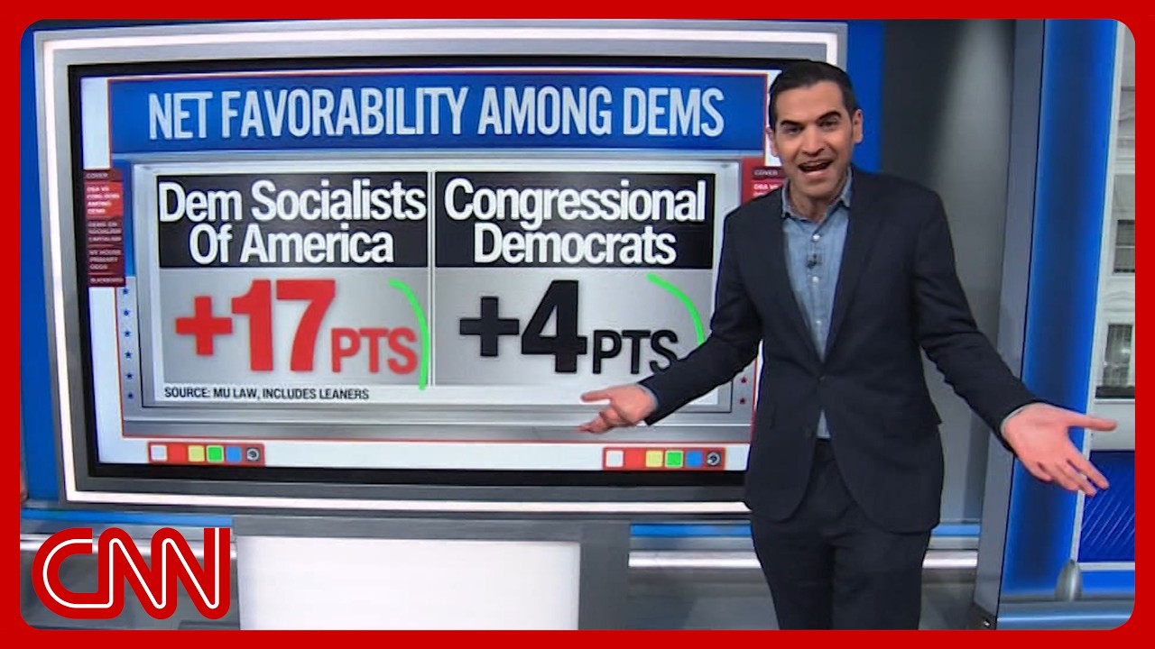 'A better brand': Democratic socialism's popularity 'up like a rocket'