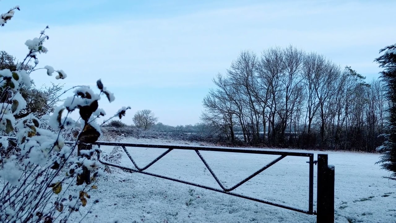 Morning walk on snowy day | Cranfield university campus