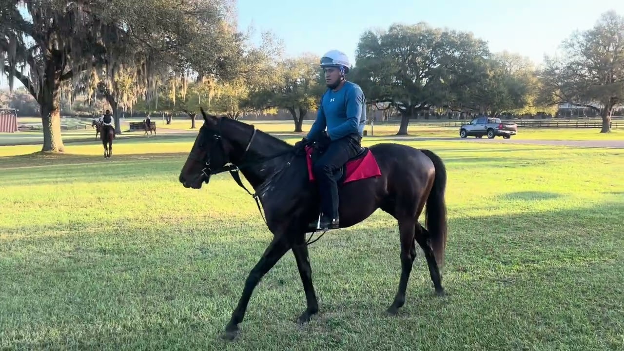 Nyquist-Stillchargingmaria, Core Principle (Epicenter) & Takeagdlookatthis (Flightline) train Mar 12