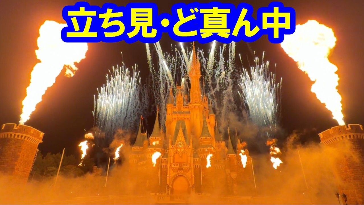 ドセン・DPA立ち見最前列／Reach for the Stars リーチ・フォー・ザ・スター（2026-02 東京ディズニーランド）