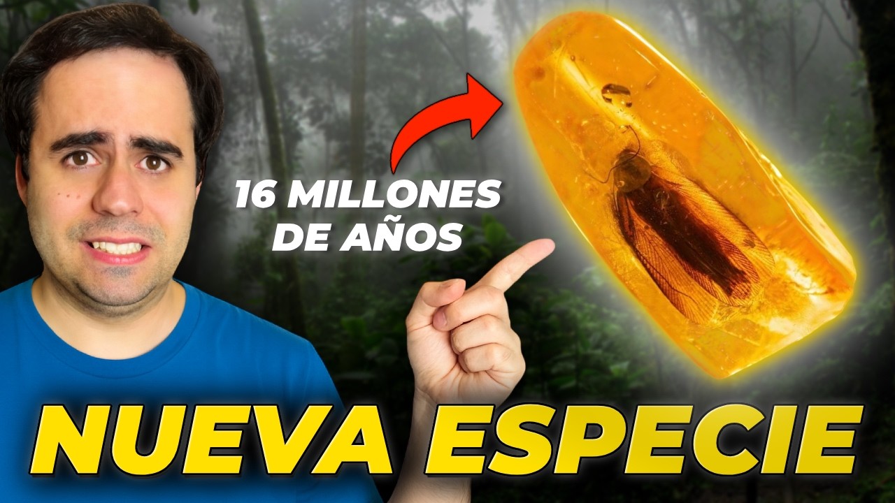 Nuevo Estudio: Los animales ven a diferentes velocidades