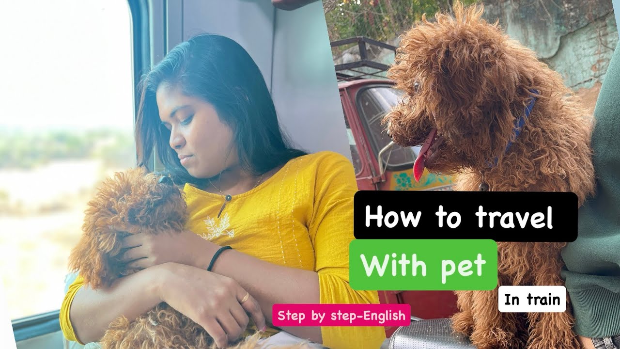 How to Travel with Your Dog on Indian Trains: Step-by-Step Guide | #trainjourneywithdog #IRCTC
