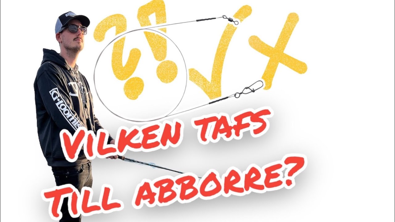 Hur väljer jag TAFS till ABBORRFISKE???