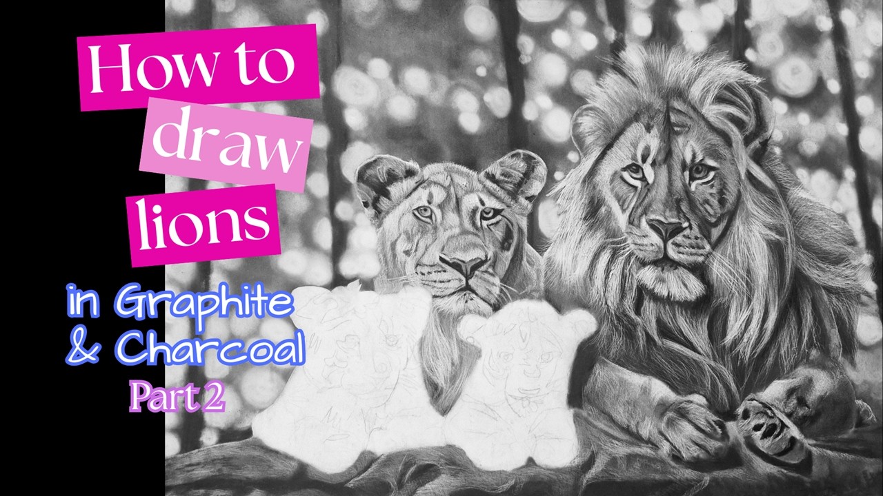 How To Draw Lions | Graphite & Charcoal | Part 2 - Time-lapse