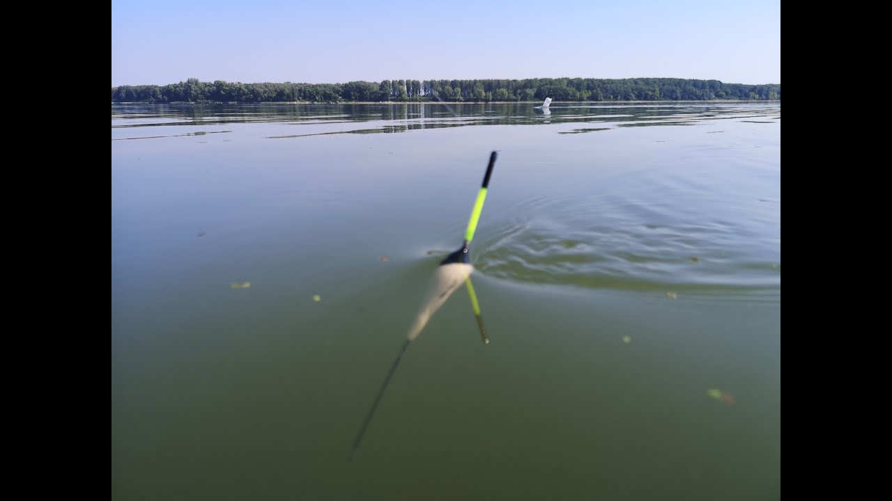 Pecanje na anker (Pecanje na Plovak na Dunavu) Pecanje Skobalja,Giborta,Deverke