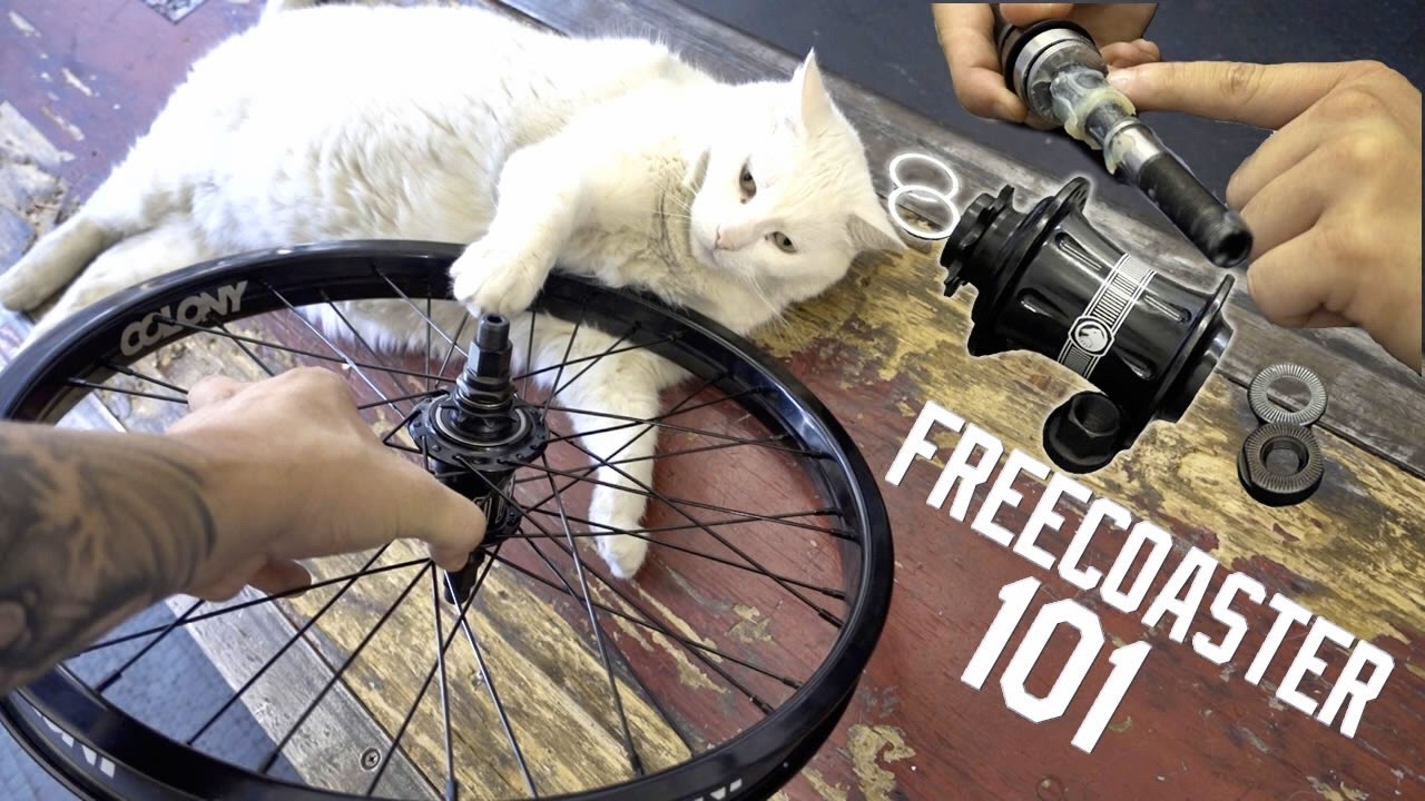 FREECOASTER 101 И РЕГУЛИРОВКА ЗАЗОРА
