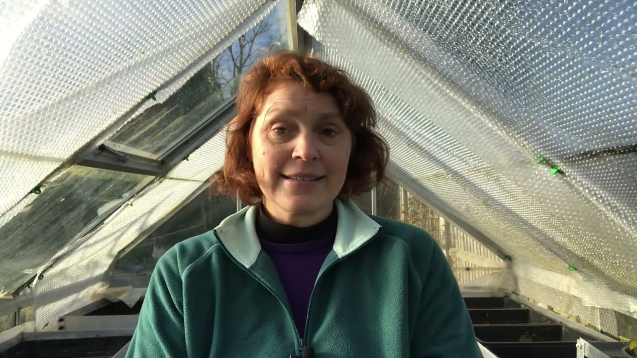 February 2023 - Claire's Allotment