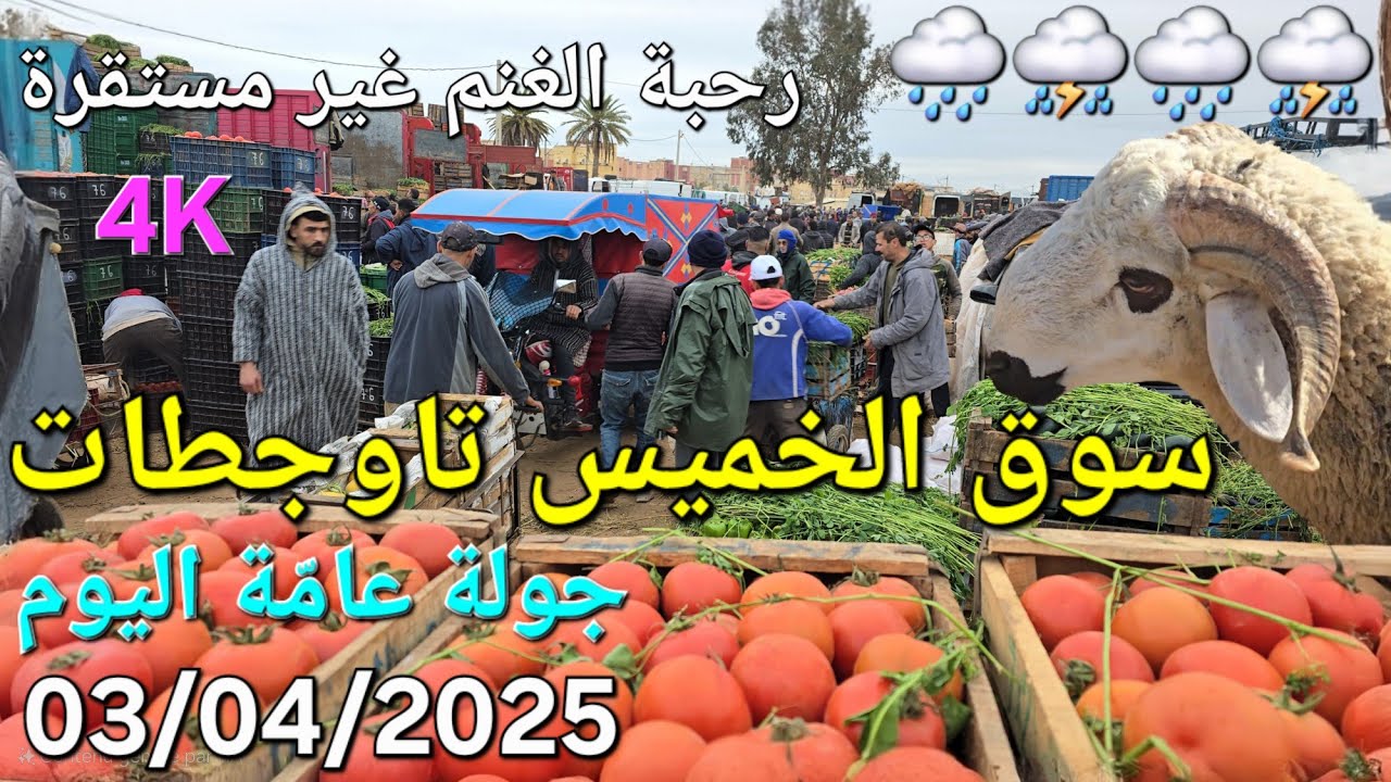 أثمنة الغنم والدجاج واللحوم والخضر سوق عين تاوجطات اليوم الخميس 03/04/2025