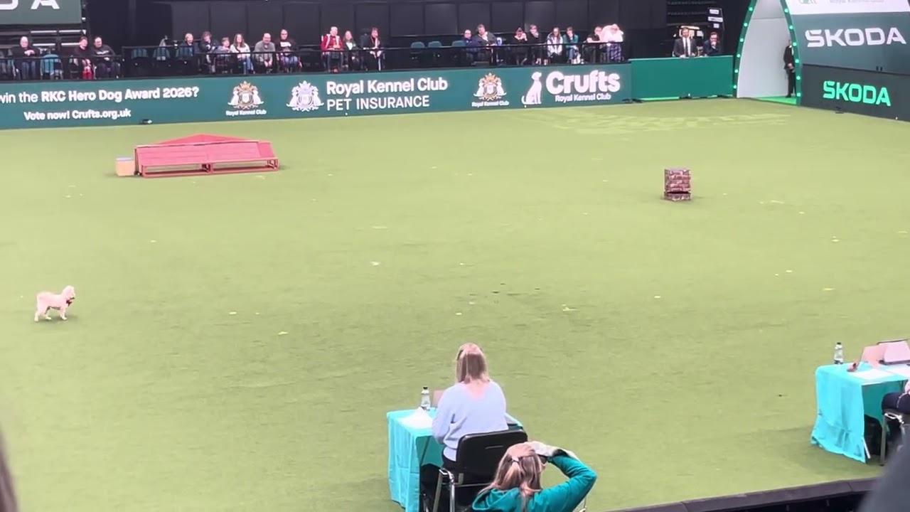 Crufts 2026 HTM freestyle Lucy Heath and Trip