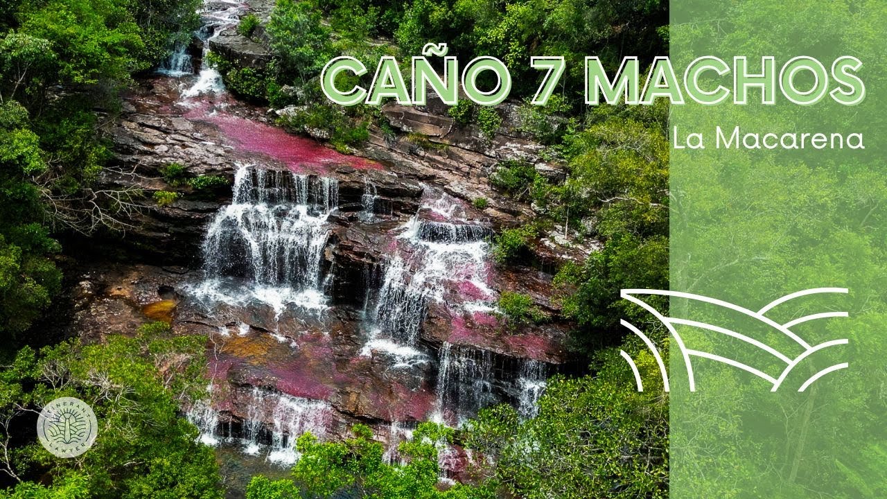 Más allá de Caño Cristales: el río secreto de la selva