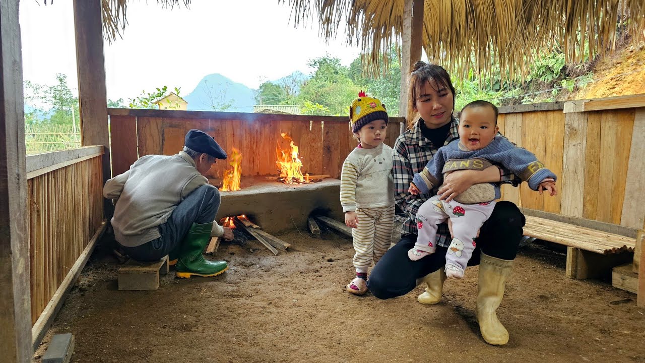 2 Days: Grandfather builds a stove | Single mother picking cauliflower to sell - Fun every day.