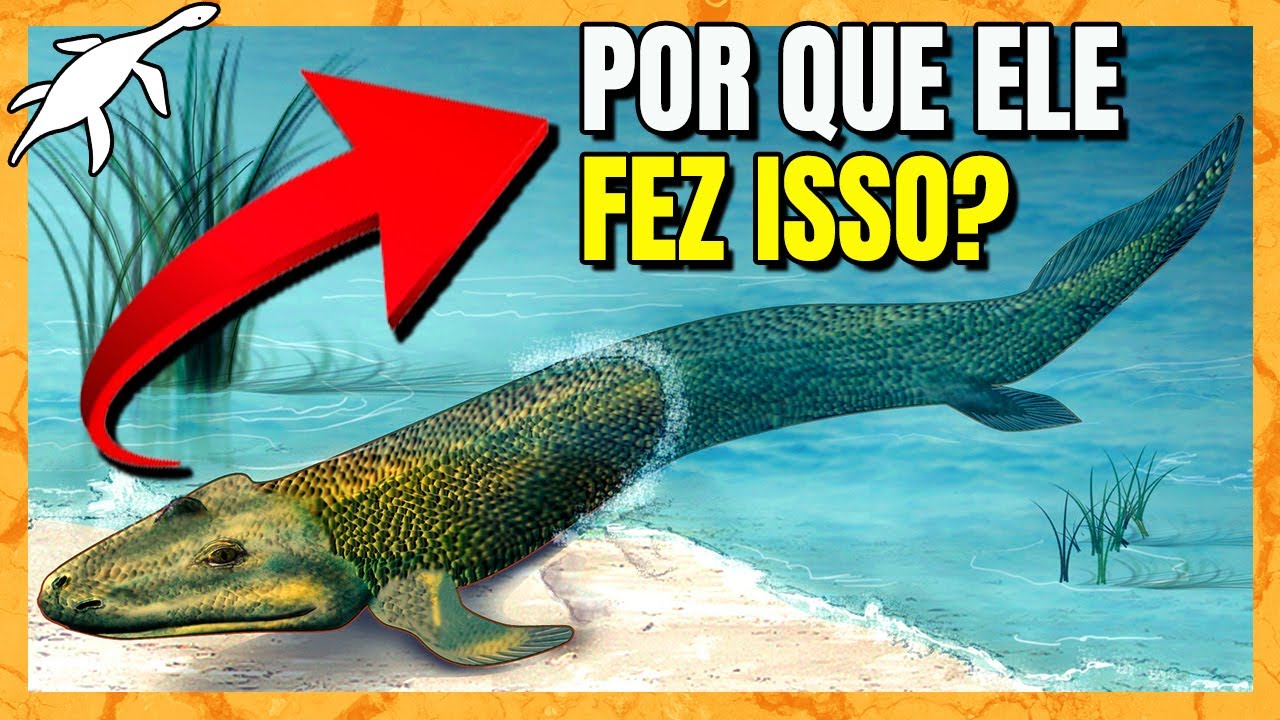 A BIOLOGIA E EVOLUÇÃO INSANA do TIKTAALIK