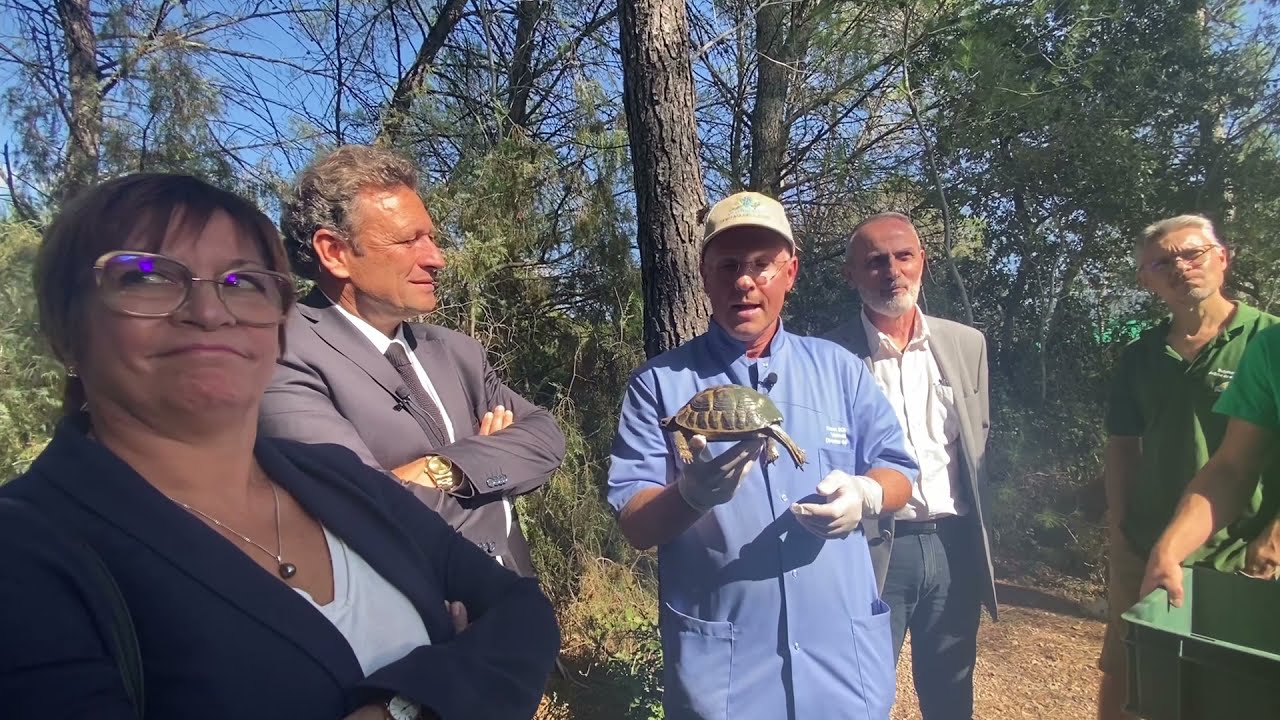 REPORTAGE : INCENDIE DANS LE VAR - Les premières tortues d'Hermann sauvées ont été relâchées!
