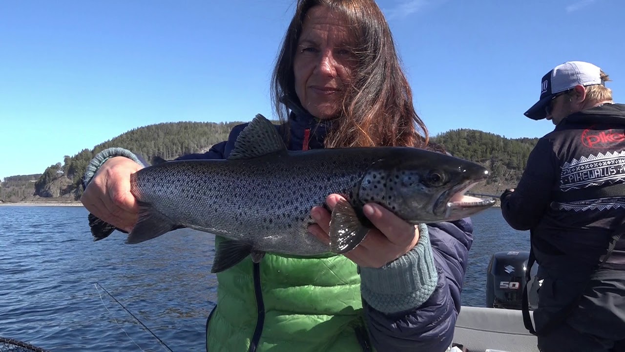 &Oslash;rretfiske p&aring; Mj&oslash;sa 19. April 2020