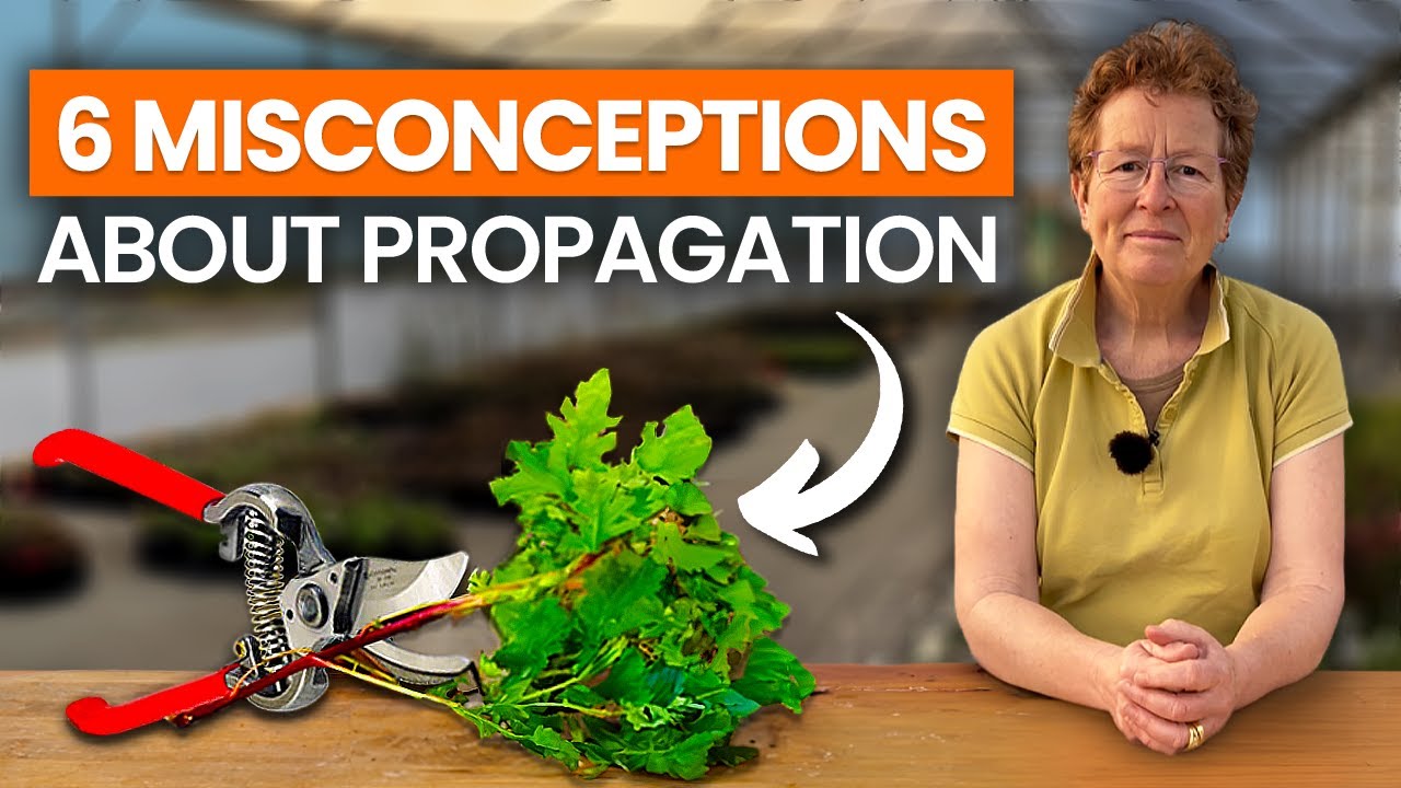 The Top 6 Misconceptions About Propagating Perennials