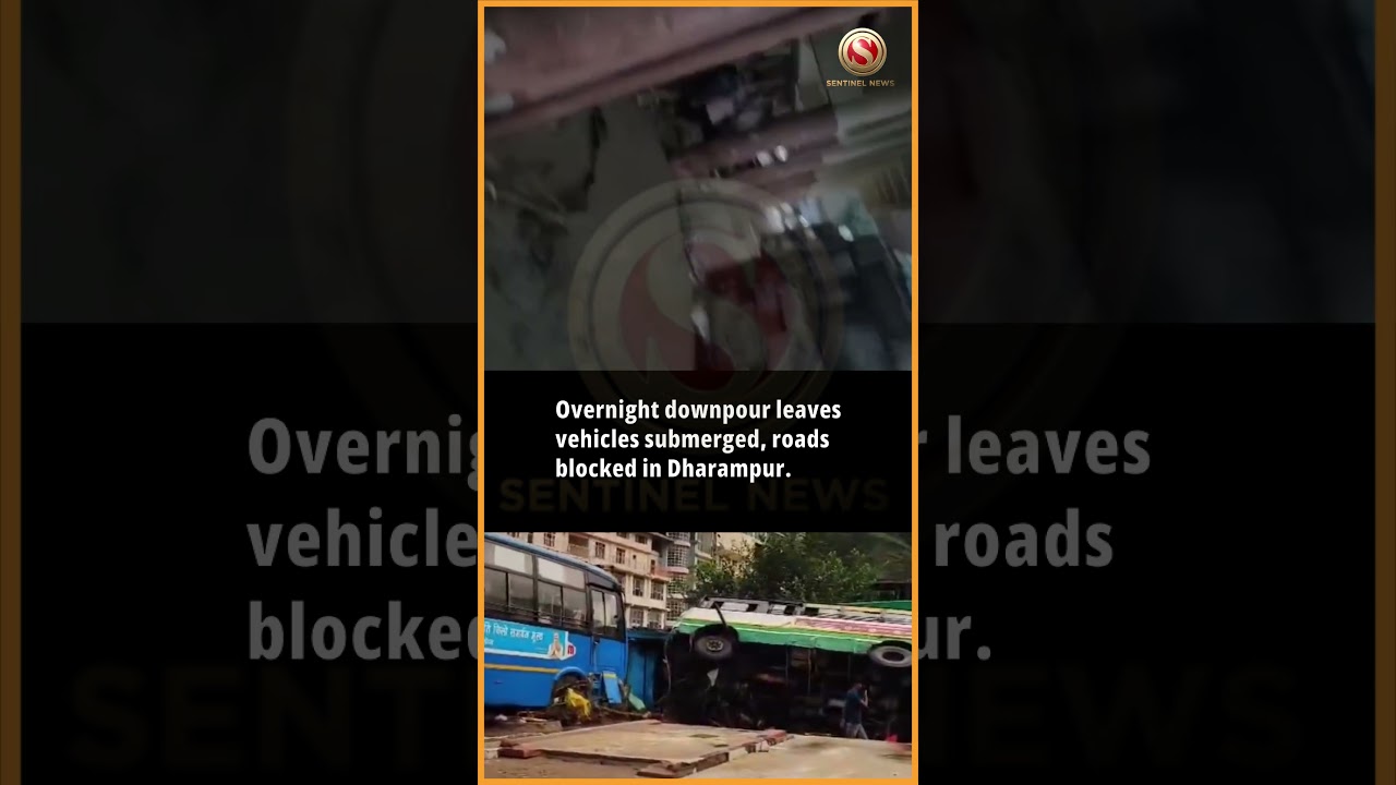 Heavy rain in Himachal: buses and shops damaged in Mandi floods
