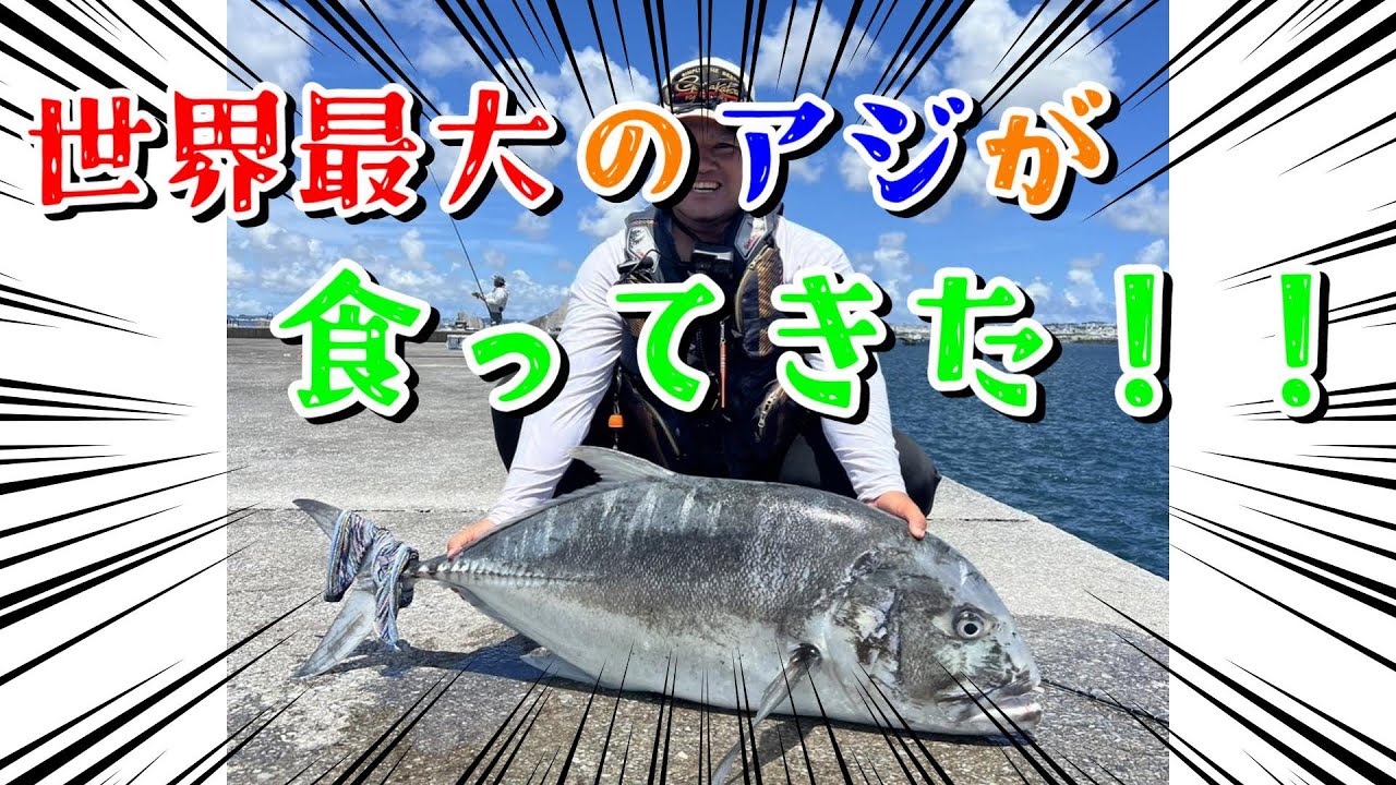 【沖縄釣り】軽い気持ちで垂らし釣りしてたら・・・【Giant trevally】