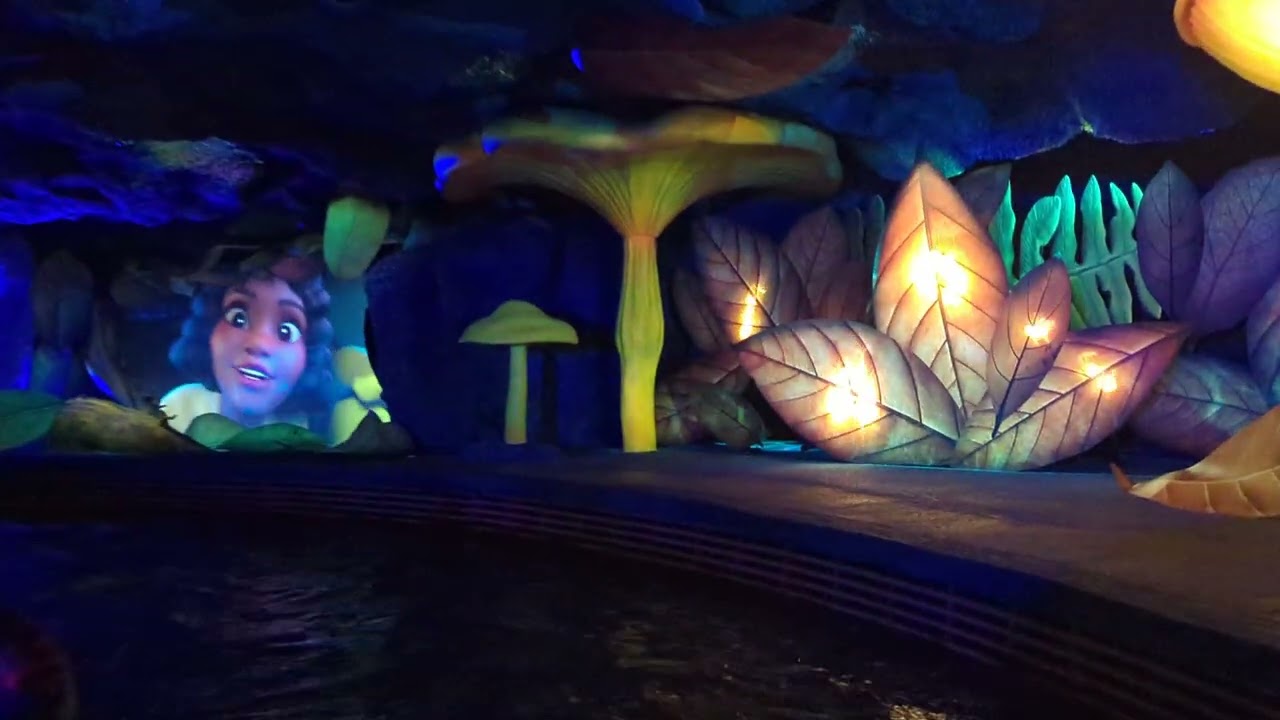 Late Night Ride on Tiana's Bayou Adventure