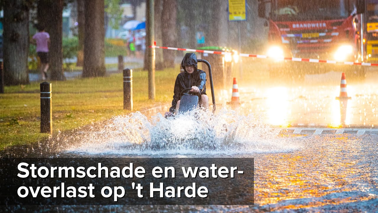 Boom valt op bedrijfsbusje op 't Harde en meer wateroverlast - ©StefanVerkerk.nl
