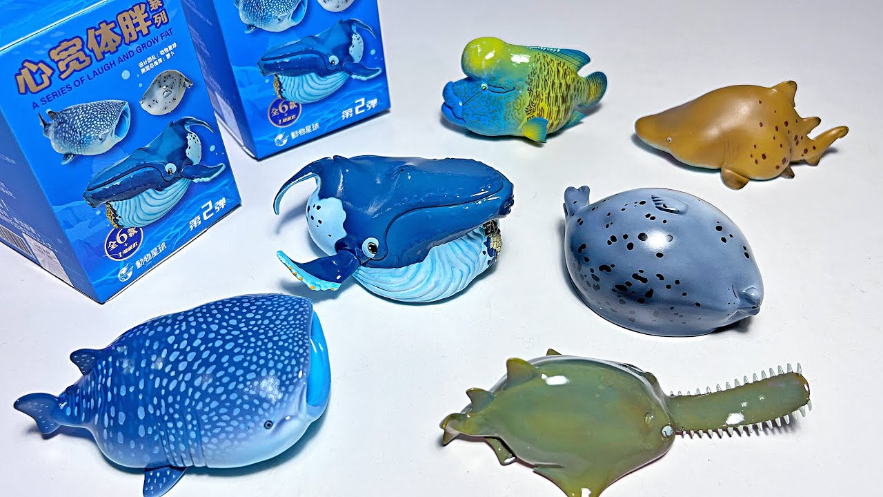 Sea Animals - Humpback Whale, Spotted Seal, Bull Shark, Sawshark, Whale Shark, Humphead Wrasse
