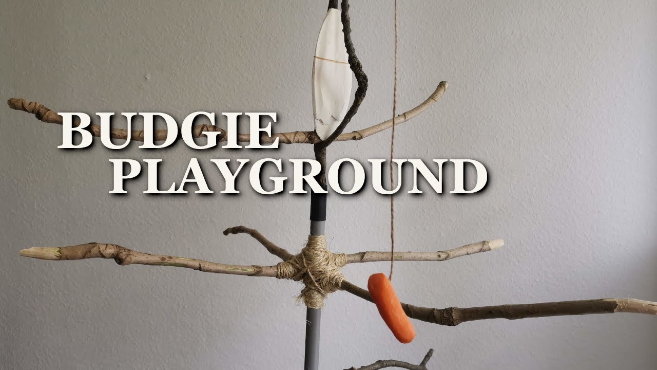 DIY: How to build a Budgie Playground