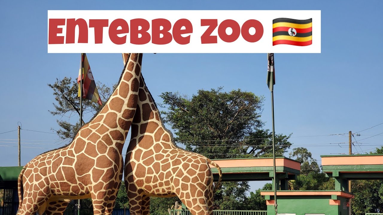 ENTEBBE ZOO||EXPLORING UGANDA 🇺🇬
