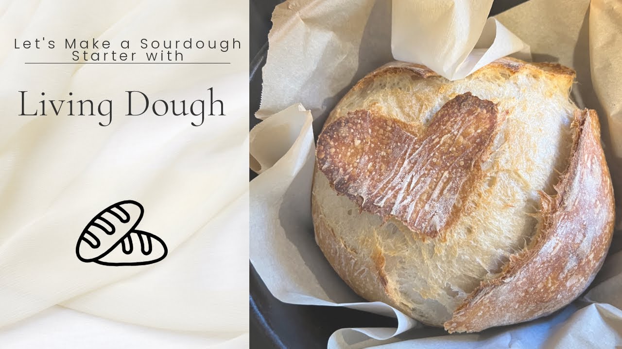 Let’s Make a Sourdough Starter with Living Dough