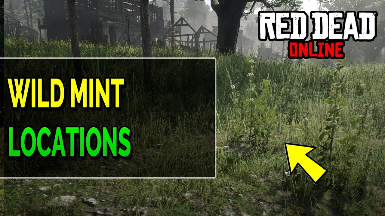 Red Dead Online Wild Mint Locations