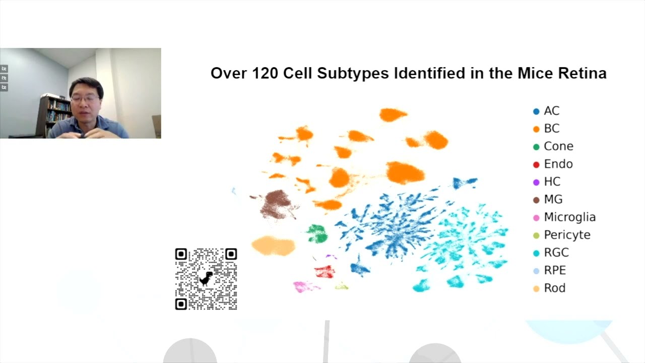 Comprehensive characterisation of the mouse retina transcriptome using long-read RNA sequencing