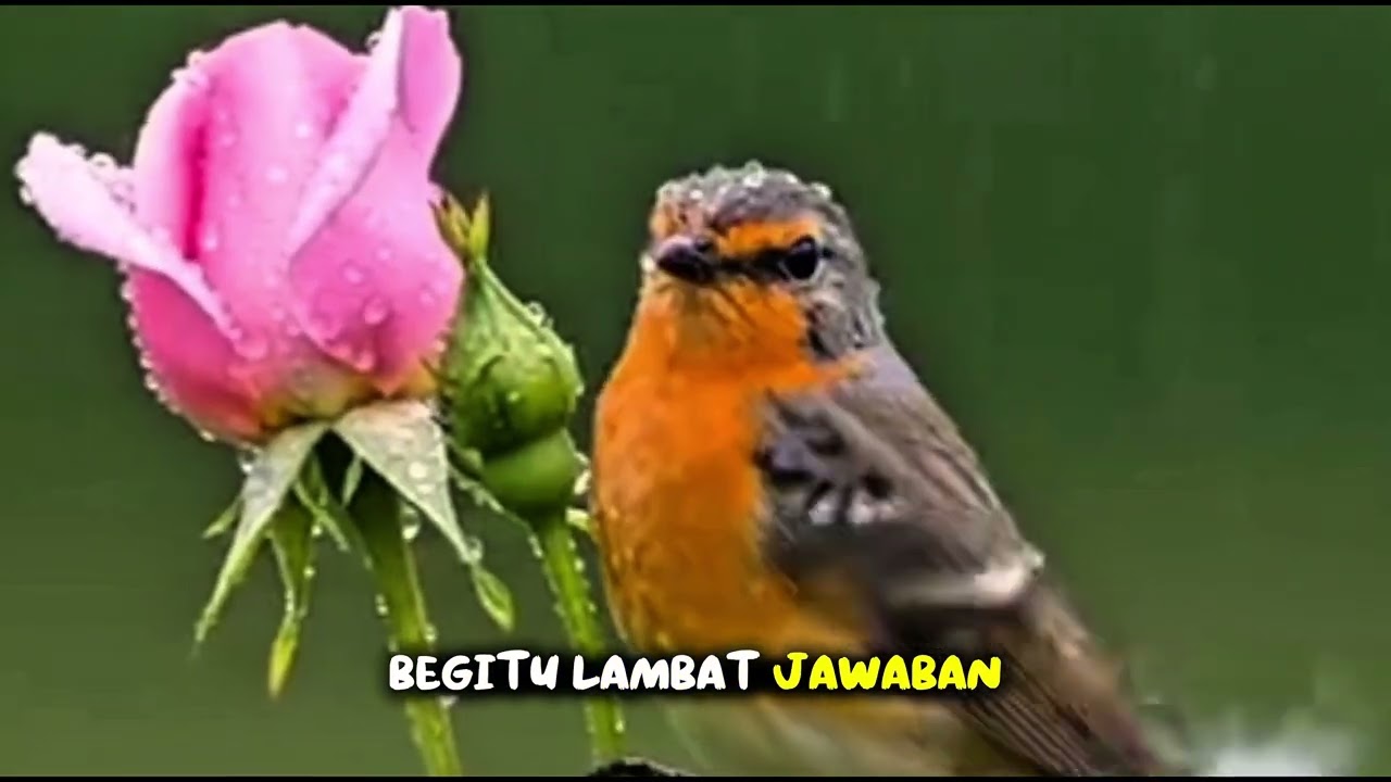 Tuntun Hatiku | Lagu Rohani Kristen Terbaru 2026