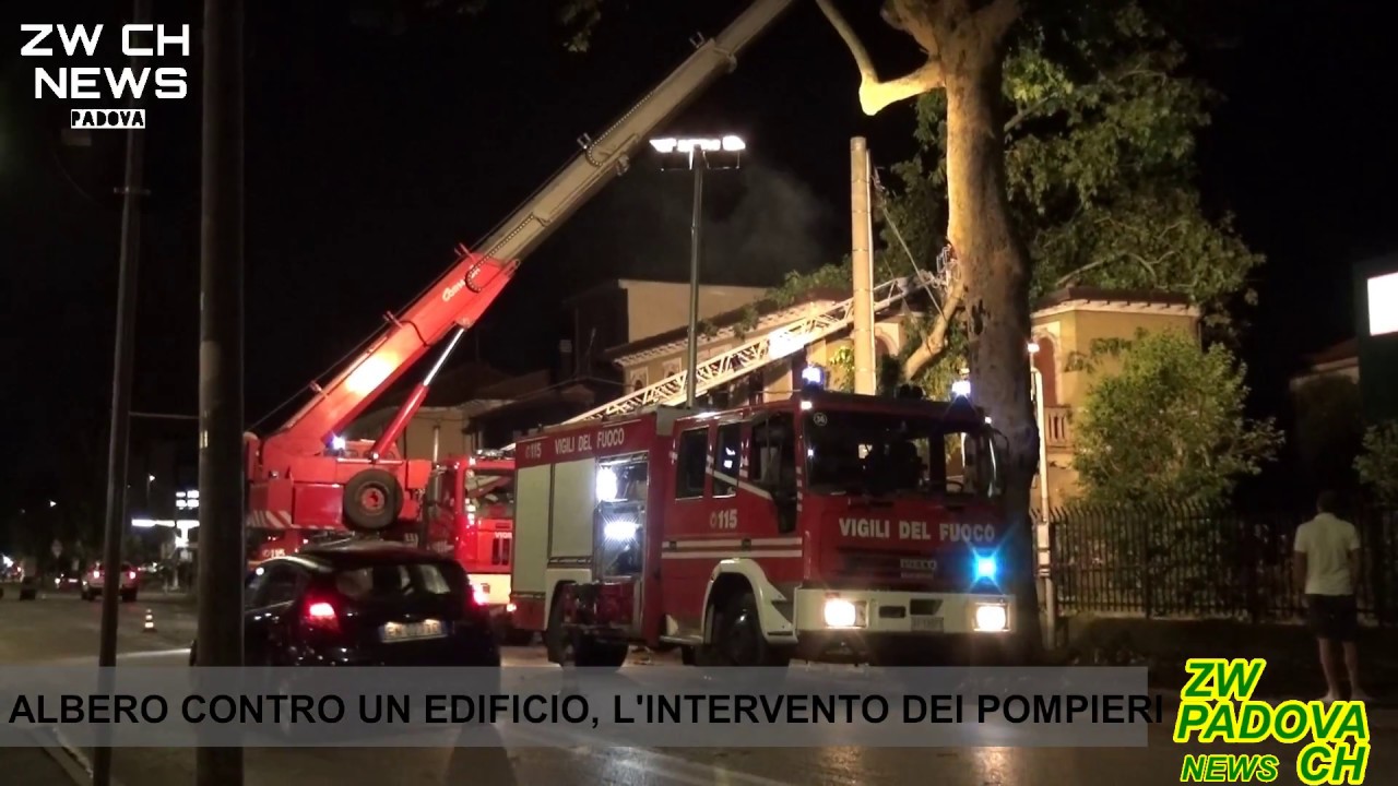Albero cade contro una casa, l'intervento dei Vigili del Fuoco PT2