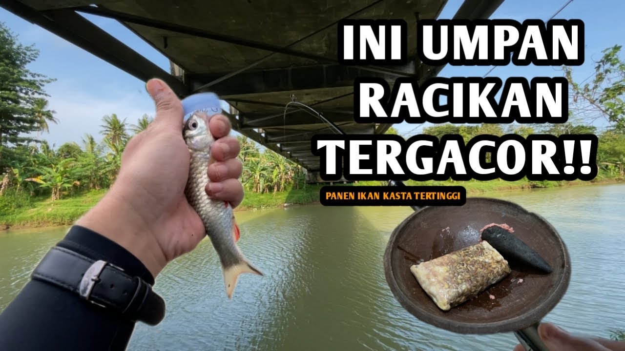 IKAN SUSAH MAKAN? COBA PAKAI CARA INI!! Mancing wader pakai teknik ombyok dan umpan tempe