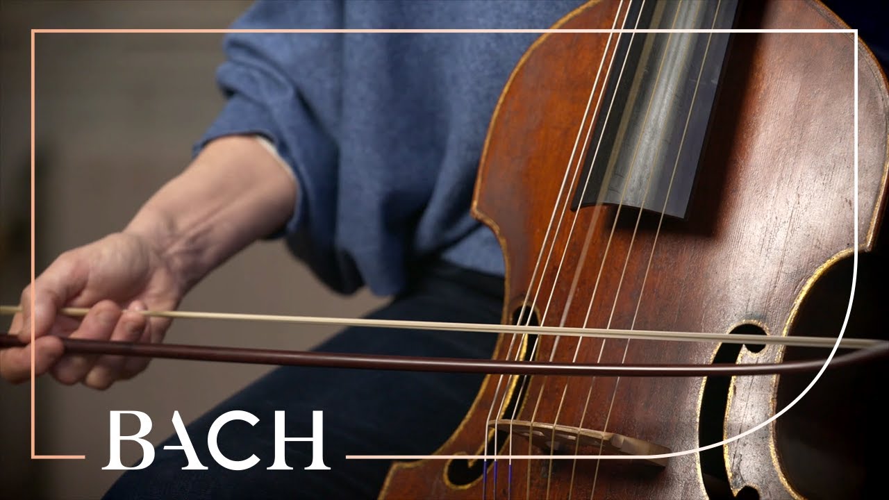 The viola da gamba | Netherlands Bach Society