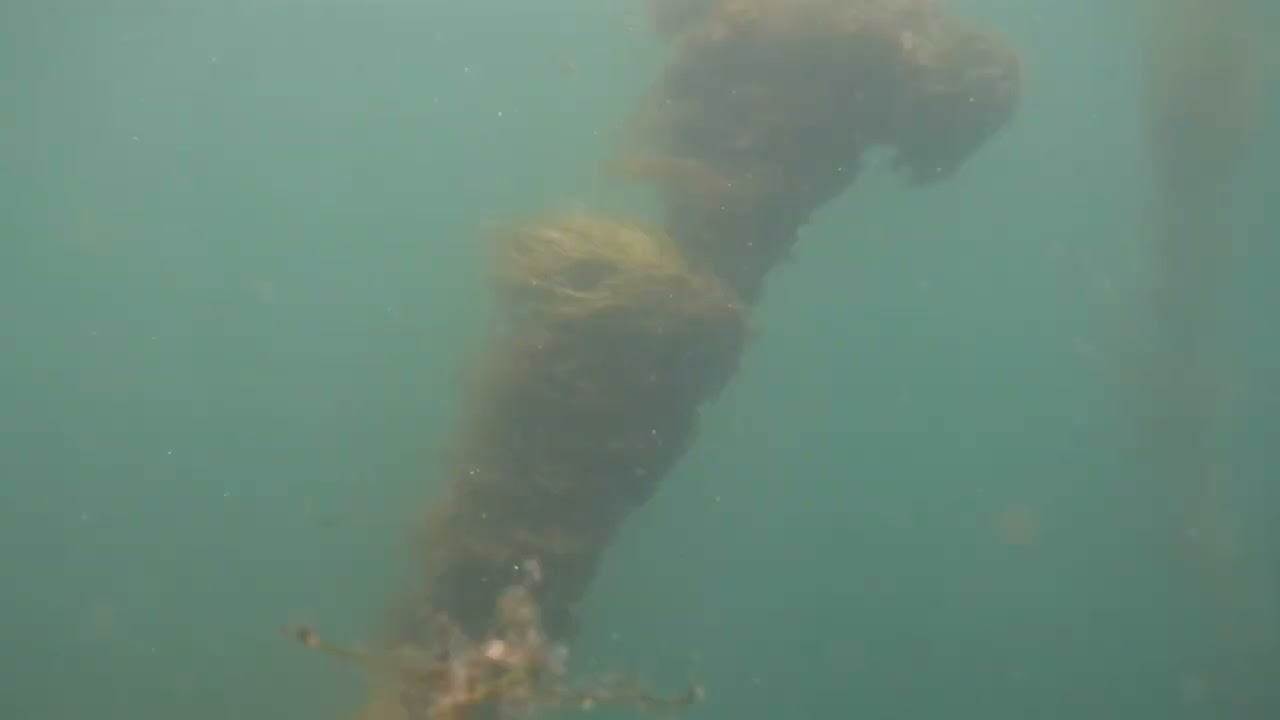The wreck of the Empress queen Bembridge Isle of Wight