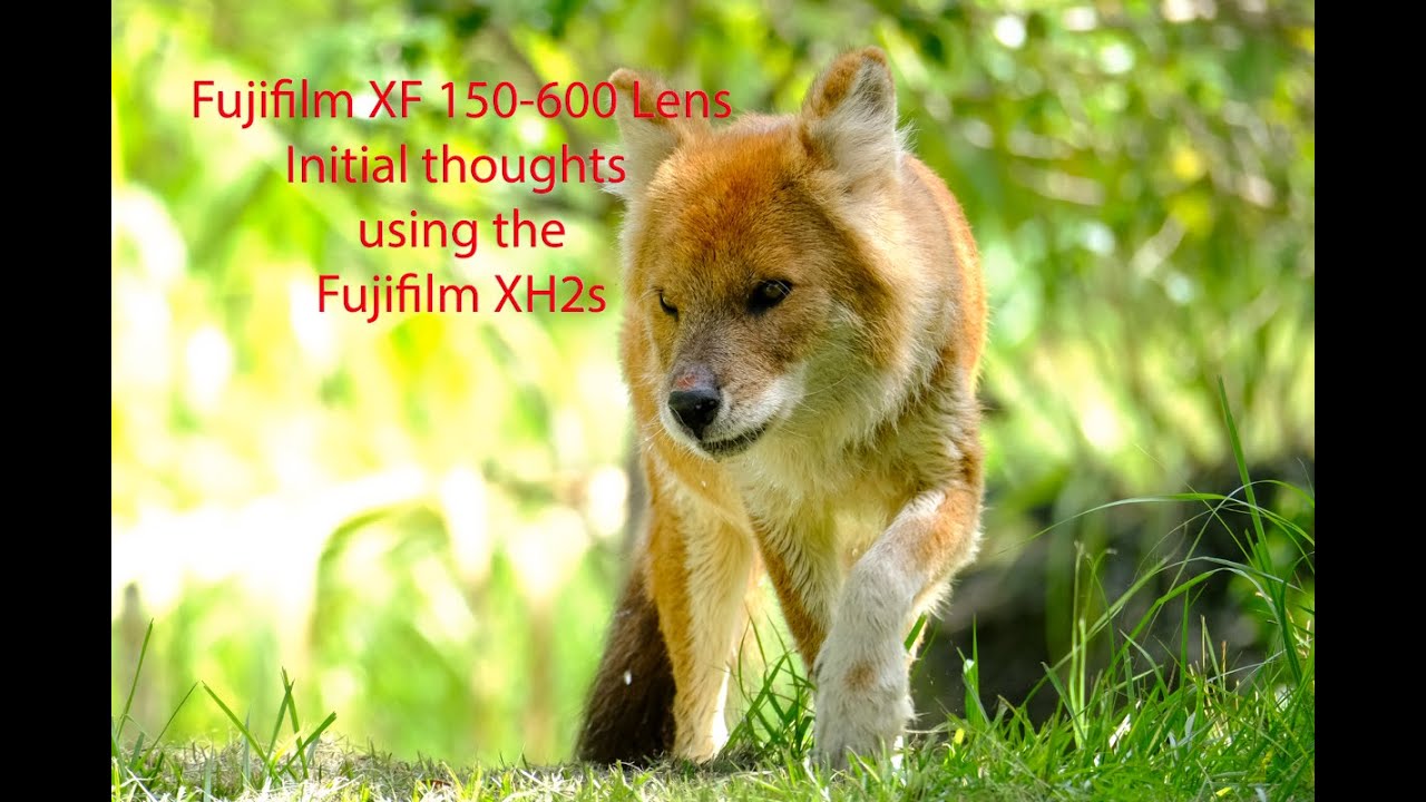Fujifilm XH2s Fujifilm 150 600mm Lens