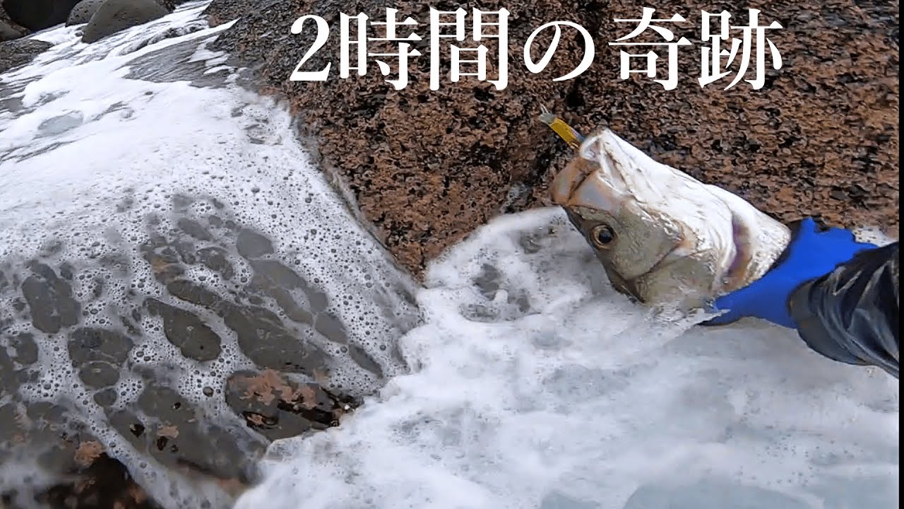 【五島列島】島来て2時間で86cm8.45kgの化物級ヒラスズキ降臨！！【福江島】