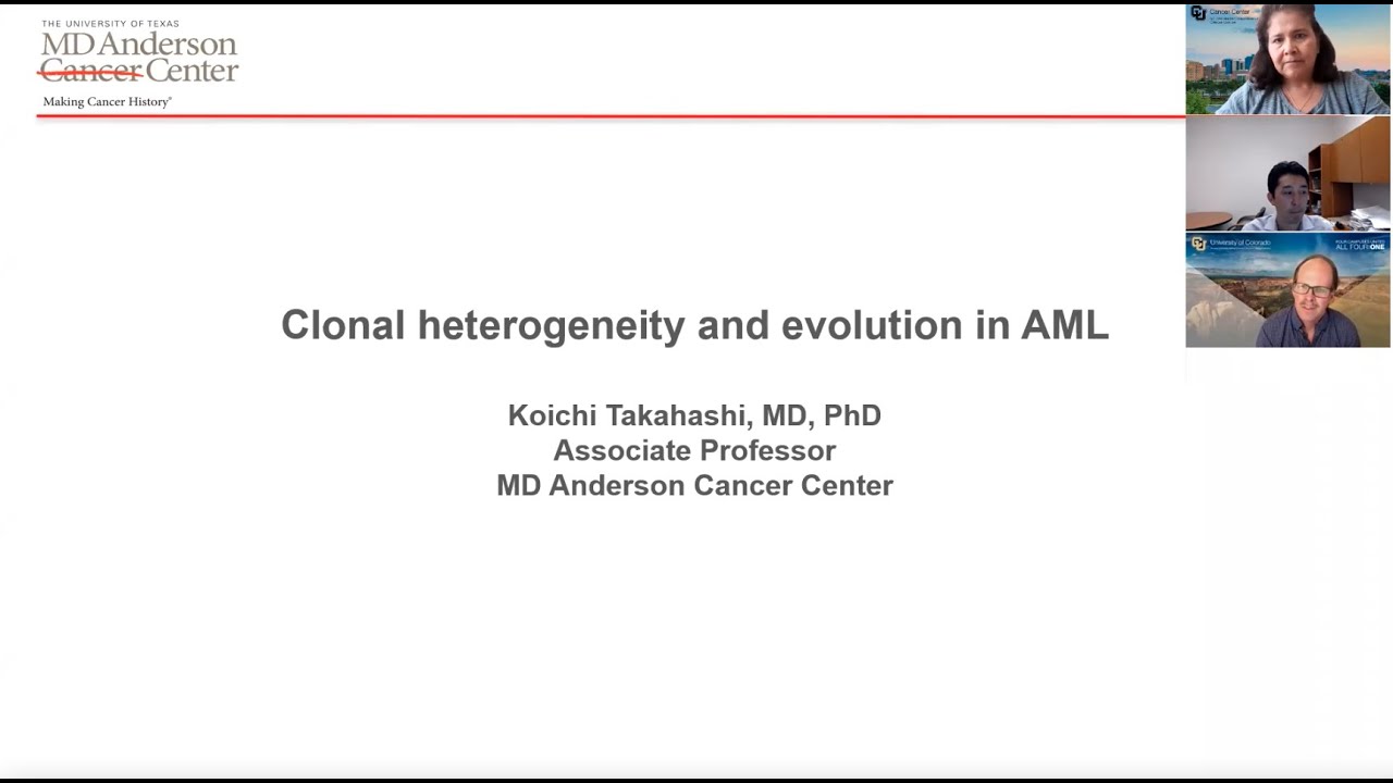 Clonal Heterogeneity and Evolution in AML