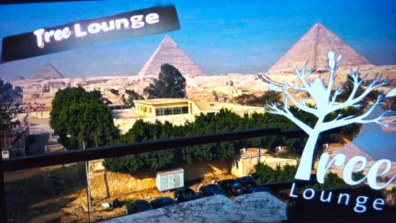 تجربتي مع ارخص وأقل سعر لفندق في الهرم فيو ابو الهول والاهرامات كلها فندق Tree Lounge