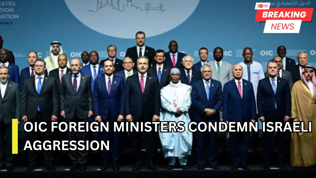 OIC foreign ministers condemn Israeli aggression, call for unity