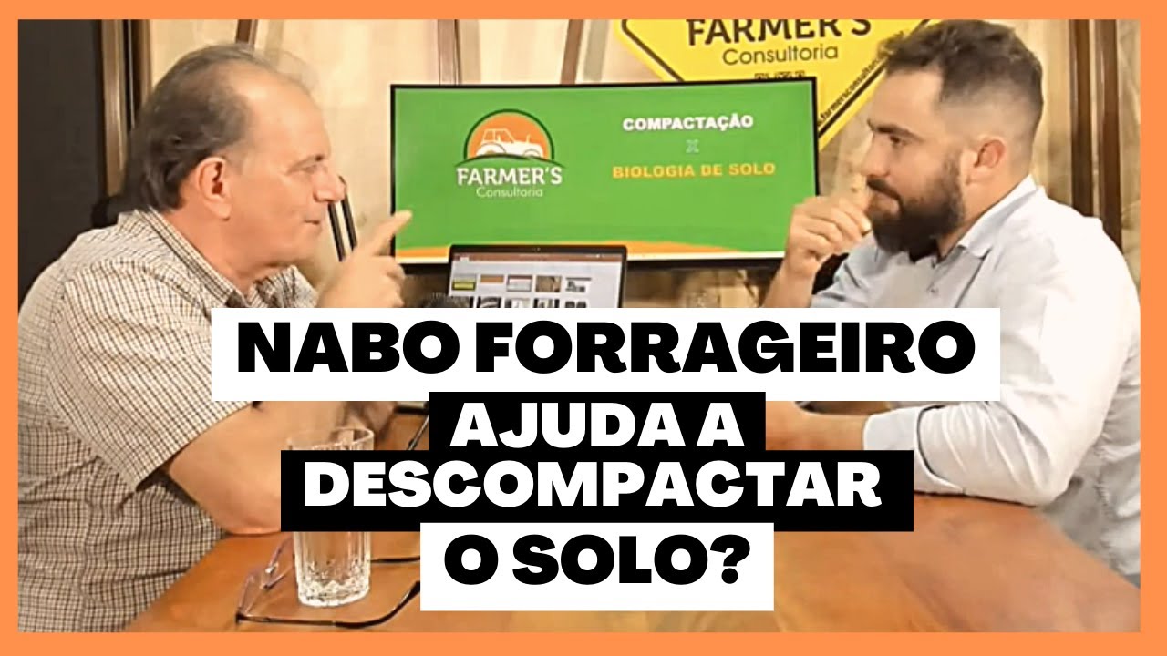 NABO PIVOTANTE E NABO FORRAGEIRO AJUDAM A DESCOMPACTAR O SOLO? | COMPACTA&Ccedil;&Atilde;O DO SOLO X BIOLOGIA